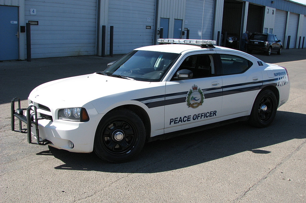 9d84cf_7d66c1577ba14c8eb4c6b1c51f9447d6.