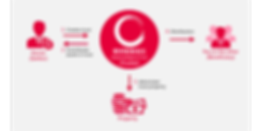 GIT - Trust Solution (ENG).png
