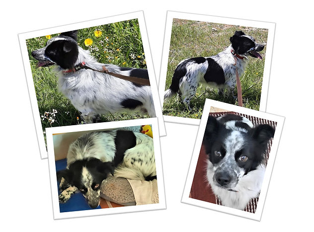 Young Male Mix