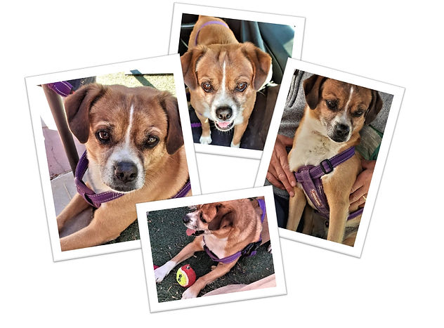 Young Male Mix