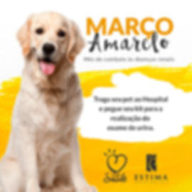 Março_Amarelo_Canino.jpeg
