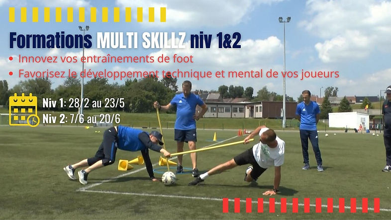 Copie de MSFF1-2.jpg