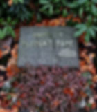 Dr. med. dent. Franz Bäke Gravestone