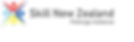 skillnz_logo_vertical-Pūkenga_Aotearoa.