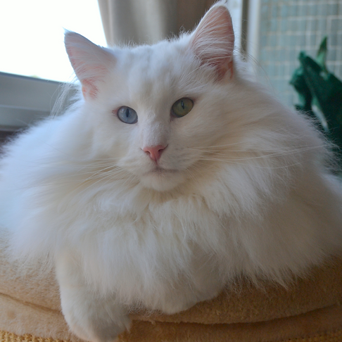 DSC_0197_edited.jpg