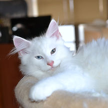 DSC_0482.JPG
