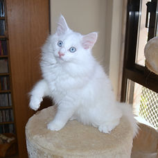 DSC_0117.JPG