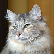 DSC_0657.JPG