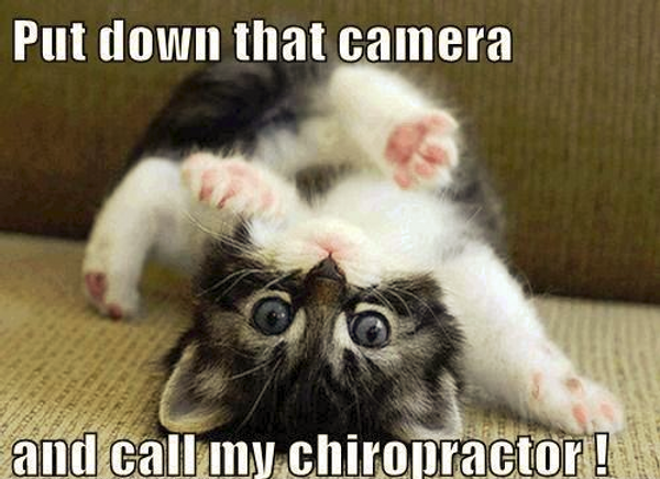 miracle hills chiropractic chiropractic memes
