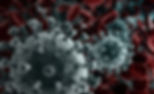 Coronavirus 2019-nCov novel coronavirus
