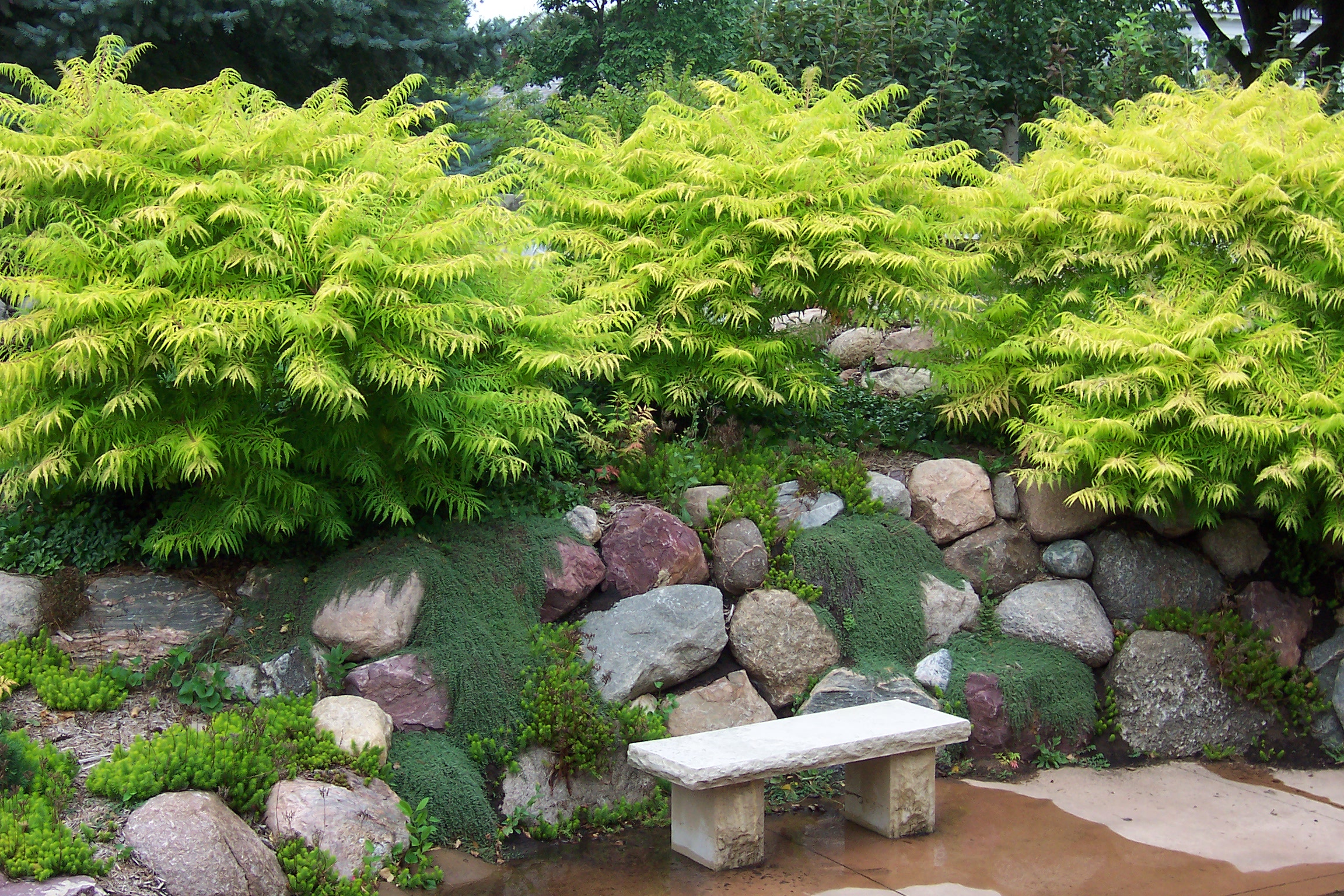 Image Result For Small Garden Landscape Image Result For Small Garden Landscape