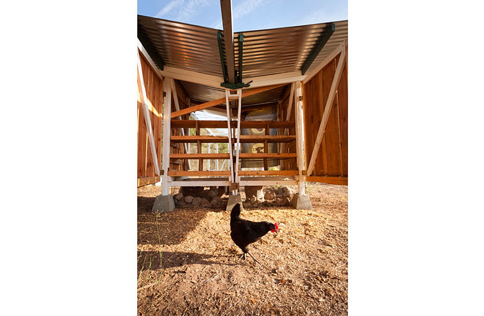 chicken house a chicken coop in toro canyon santa barbara that catches 