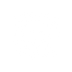 lion_Mesa de trabajo 1.png
