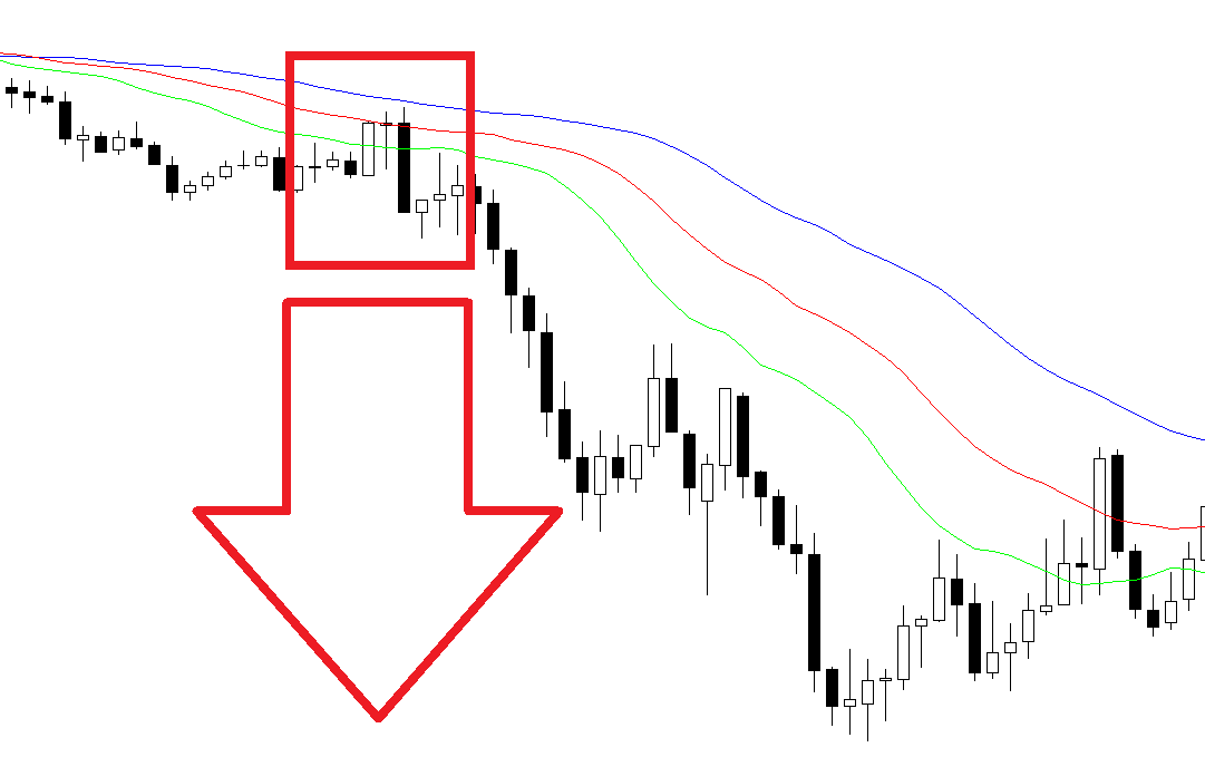 Forex alligator