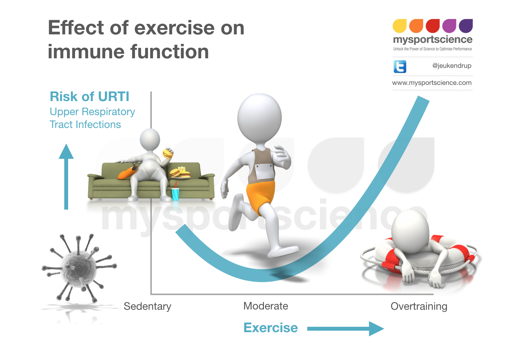 online dynamics in enzyme