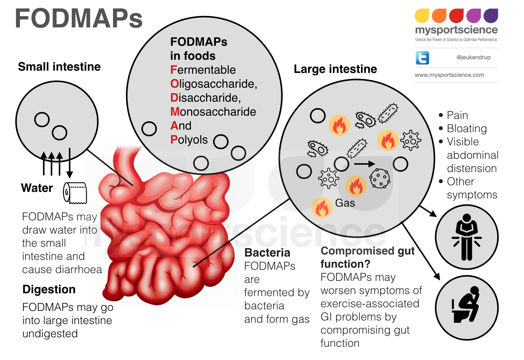 pdf human factors in the design and evaluation of central control room operations