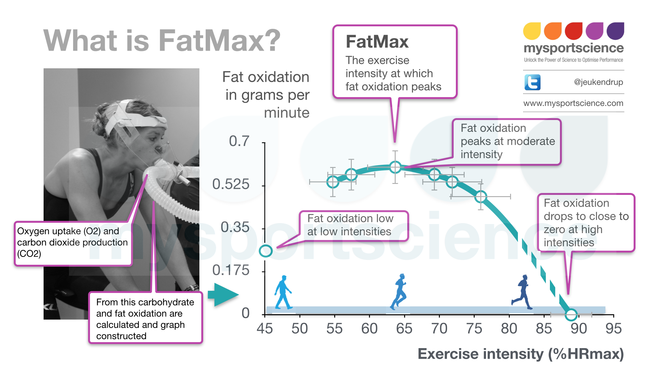 Finding your fat burning zone
