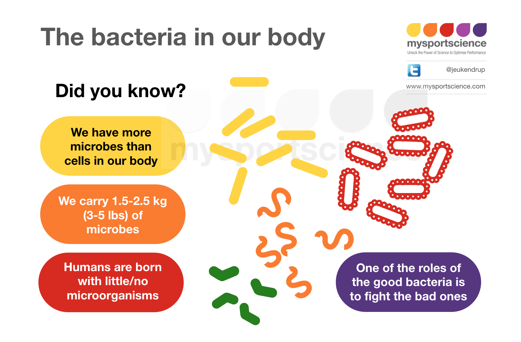 How Many Bacteria In The Human Body