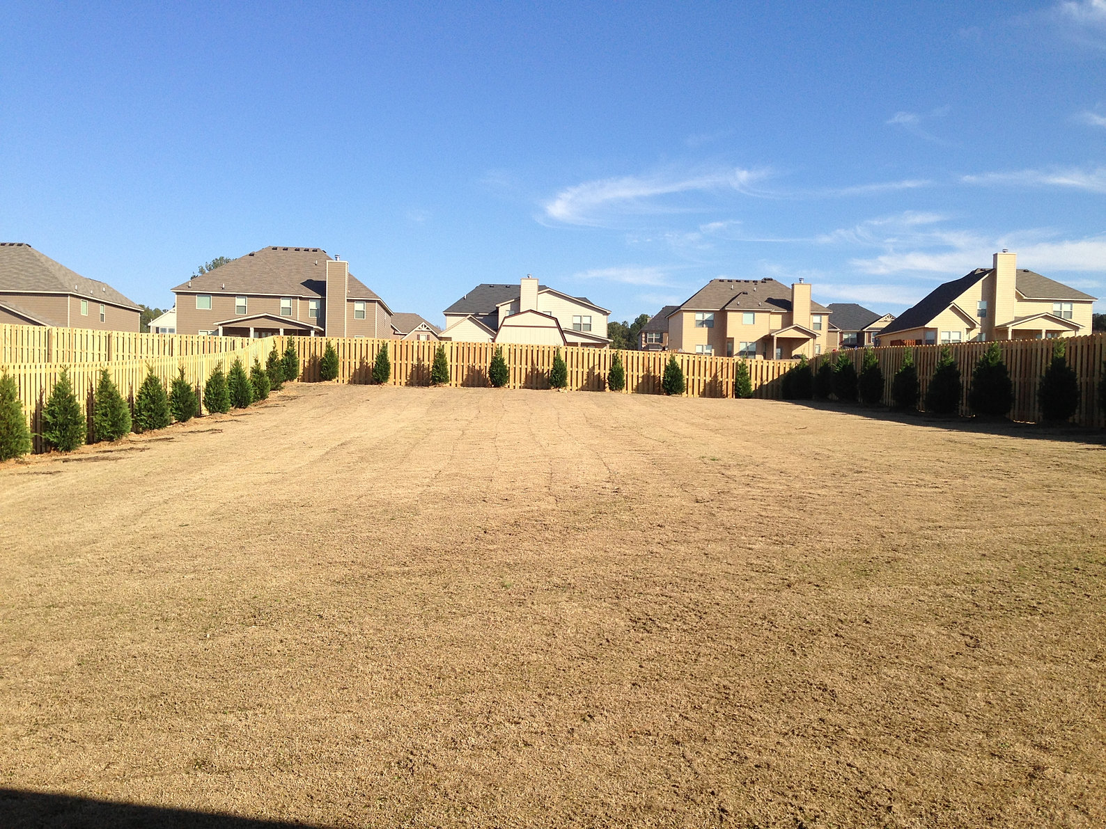 connecticuttreesales