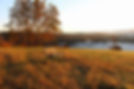 A hilltop bench for contemplating the 360 views at Well Being Retreat Center