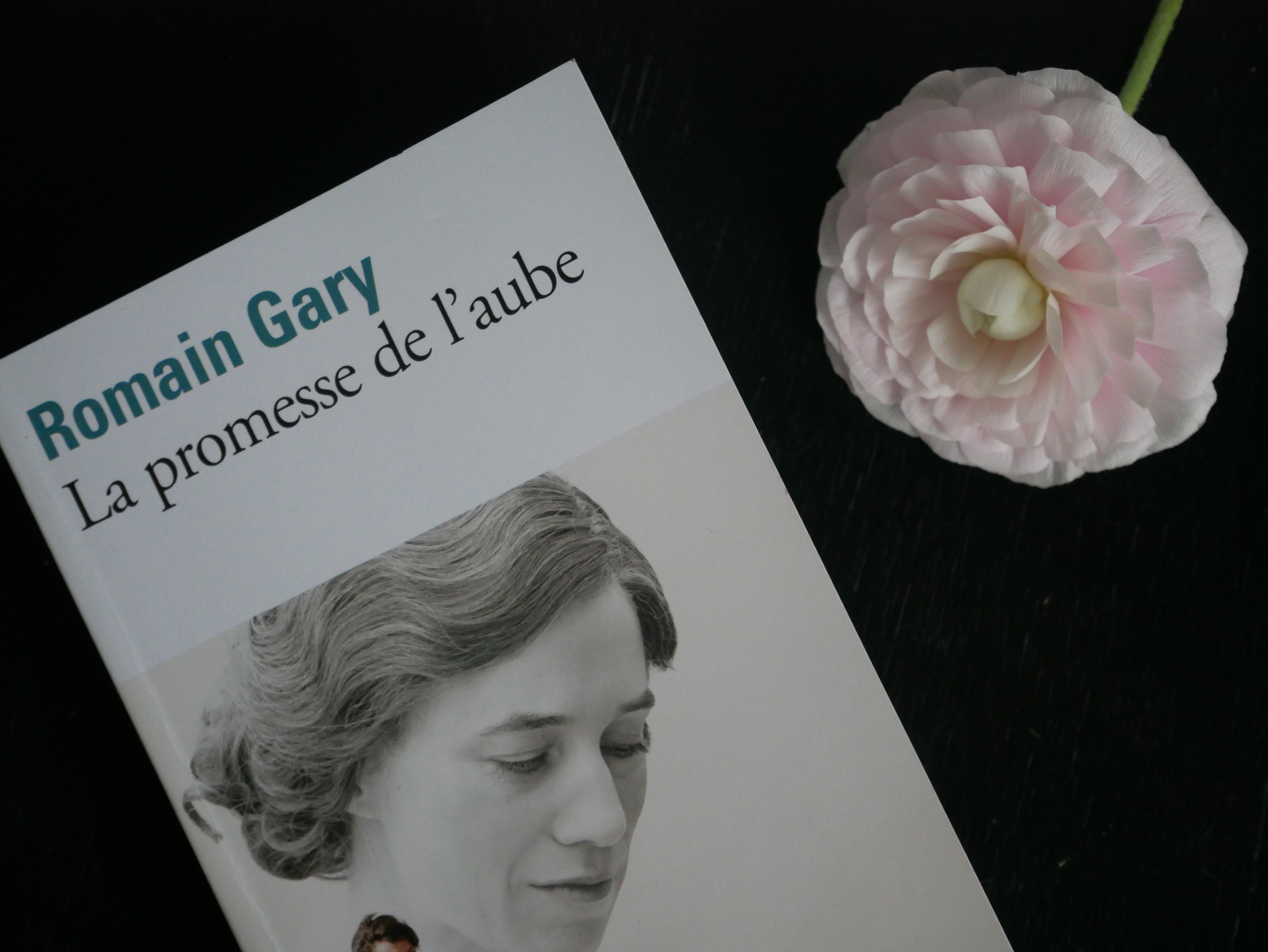 Livre La promesse de l'aube par Romain Gary