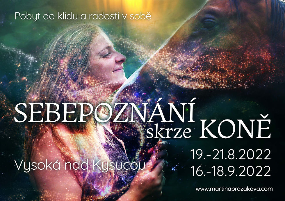 SEBEPOZNÁNÍ S KOŇMI 2 datumy.jpg