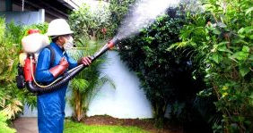 diferentes-tipos-de-fumigacion-1-300x154