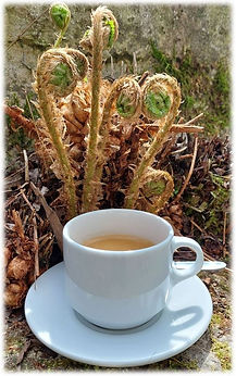 2022 Bild Kaffee Homepage.JPG