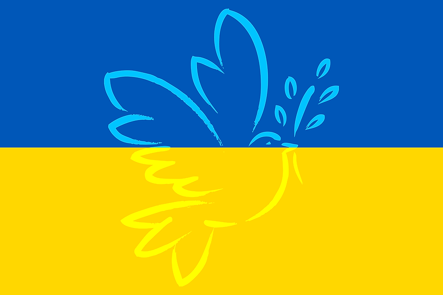 ukraine-gab1579019_1280.png