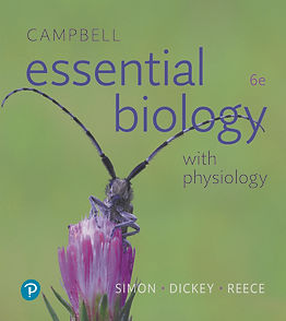 EBP6e_cover.jpg