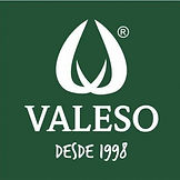 Valeso logo.jpeg