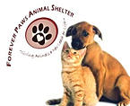 Forever Paws Animal Shelter 