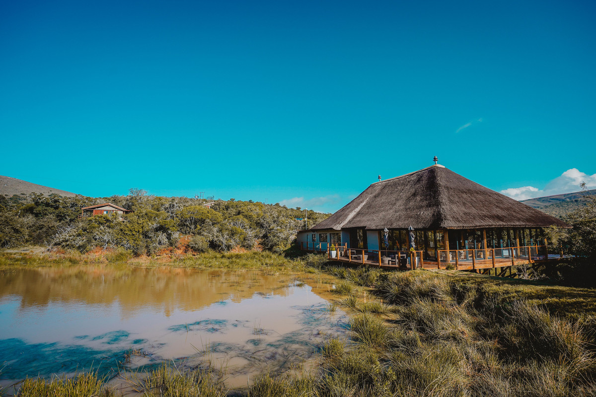 Best Accommodation In Tokyo Reddit