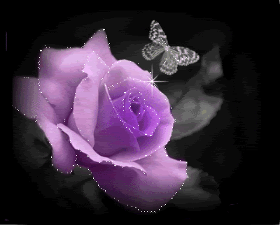 a6be73_731b79f2383e4860a920b584ae70b90b.
