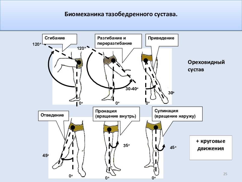 Вибратор С Функцией Ротации