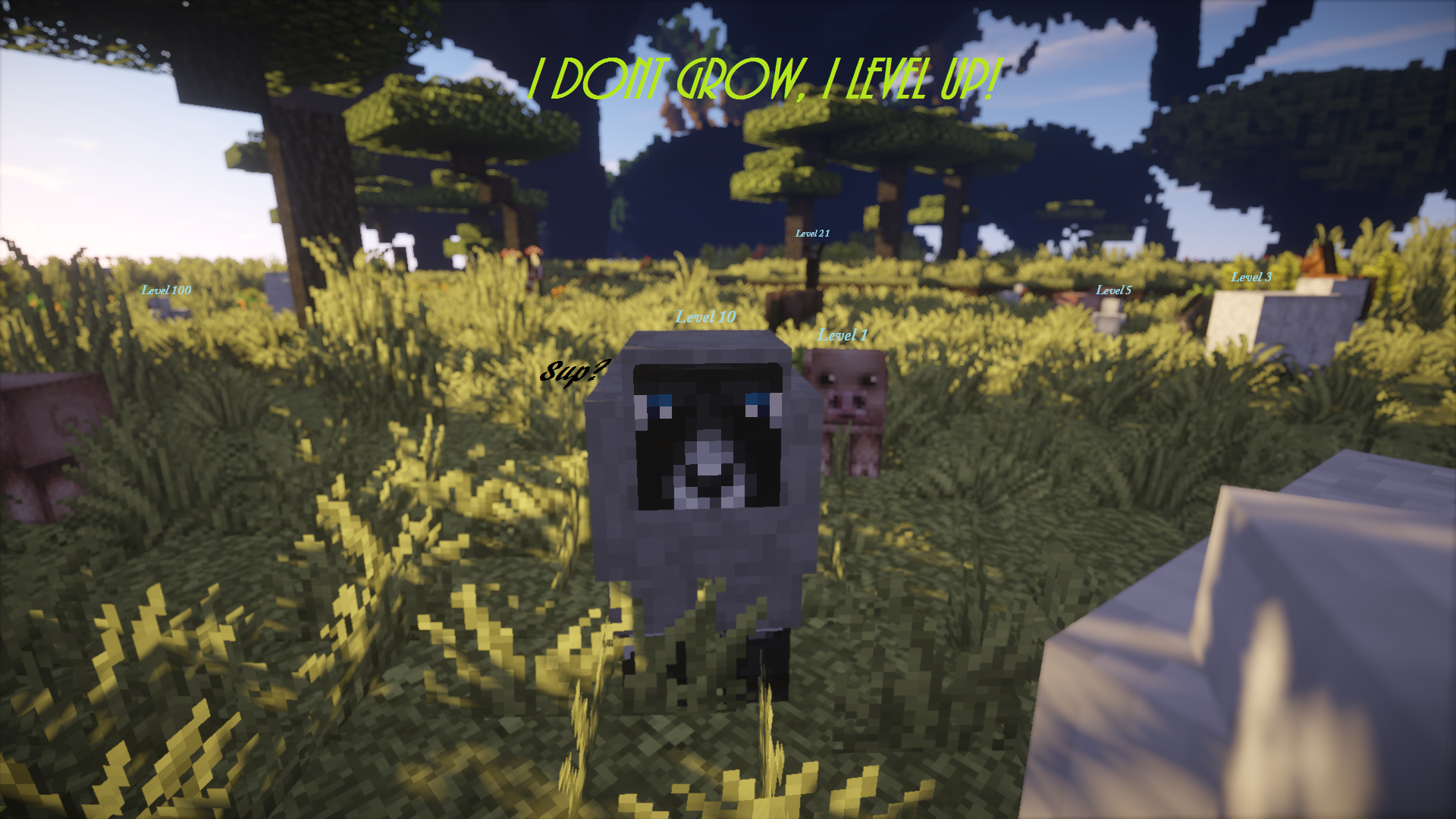 a72d4e_519297f02a614bd0b3d2d7a435165abf.png