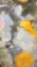 IMG_0754.jpeg