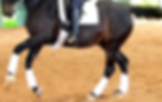 Loomis horse boarding