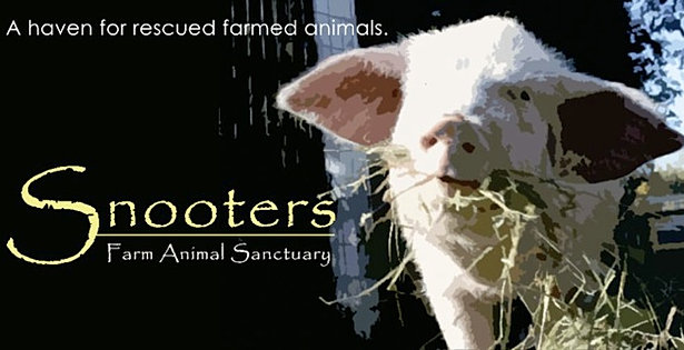 Holly's hope, Walk for Ontario Farm Animals