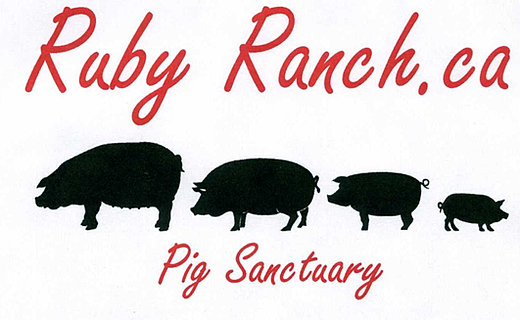 Holly's Hope, Walk for Ontario Farm Animals