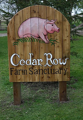 Holly's Hope, Walk for Ontario Farm Animals