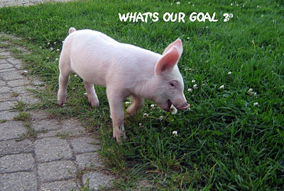 Holly's Hope, Walk for Ontario Farm Animals