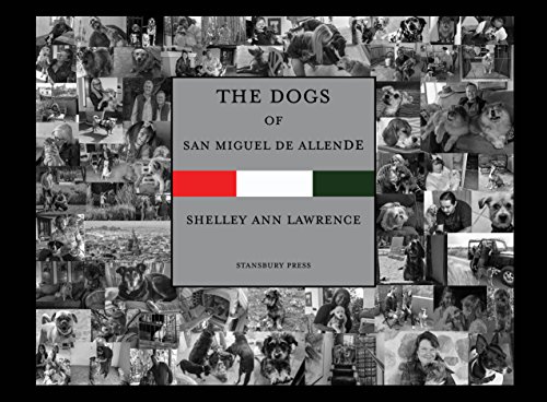 THE DOGS OF SAN MIGUEL DE ALLENDE