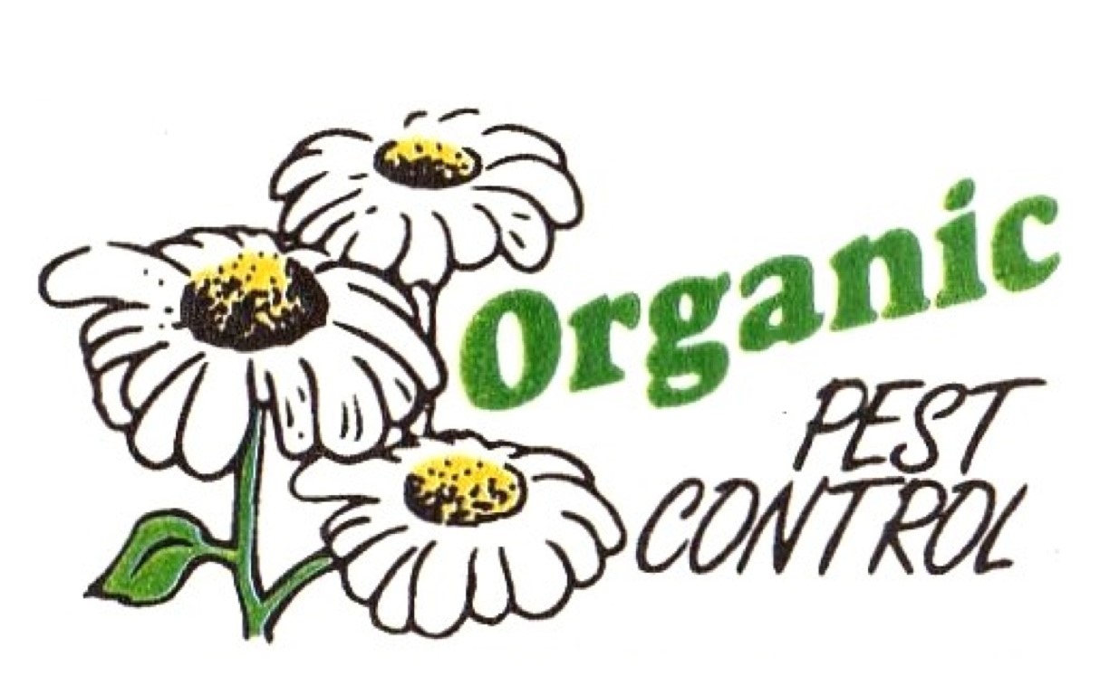 Pest Control Review