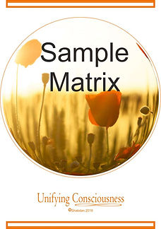 UCM Sample.jpg