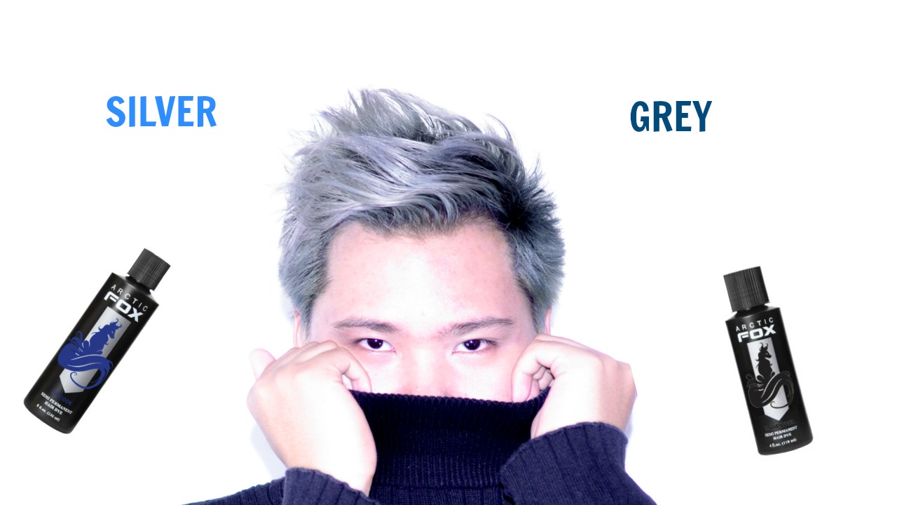 How To D I Y Silver Grey Hair Using Arctic Fox Transylvania