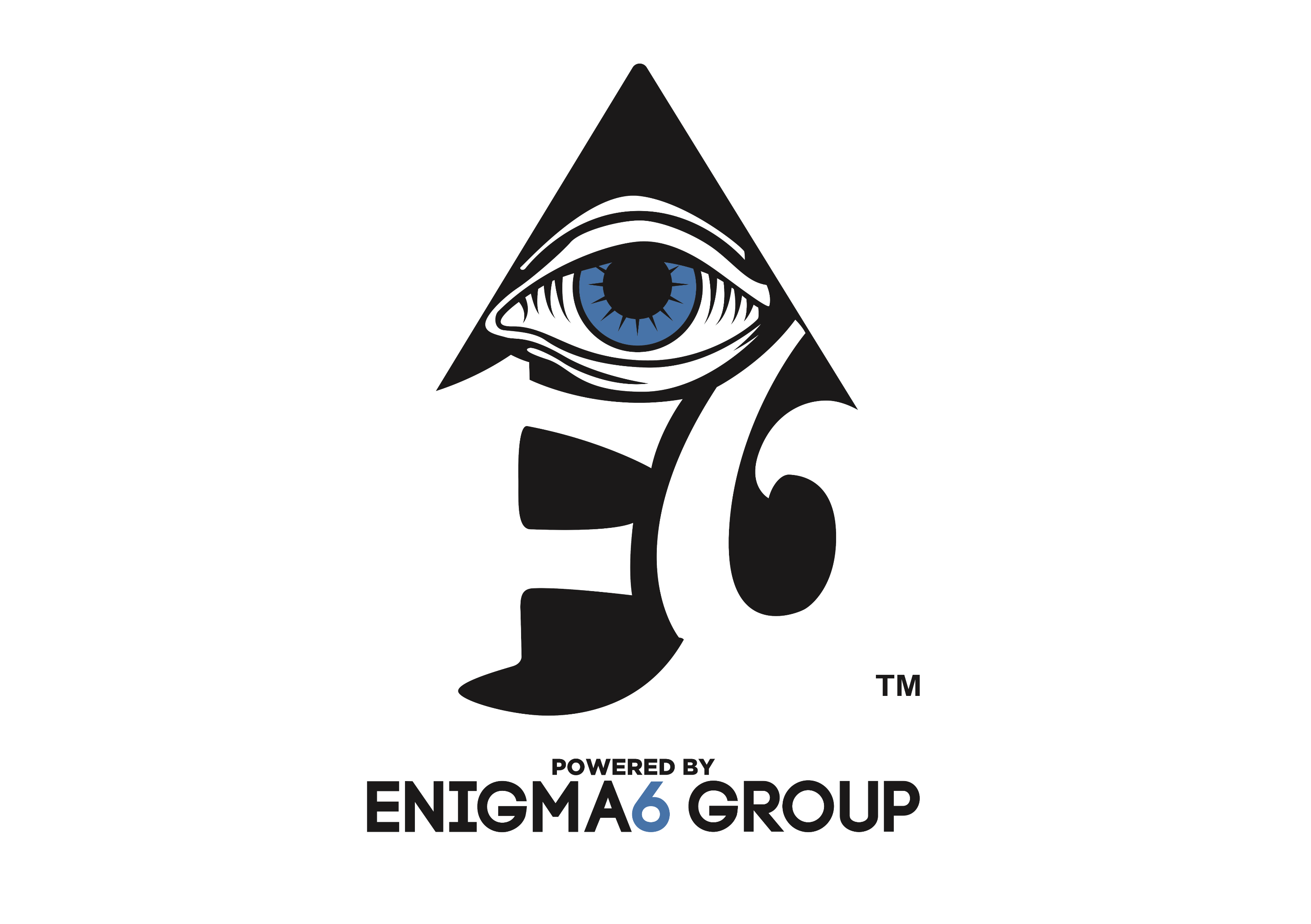 ENIGMA6 GROUP, LLC Professional Esports Organization