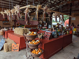 IMG_20191006_134933.jpg