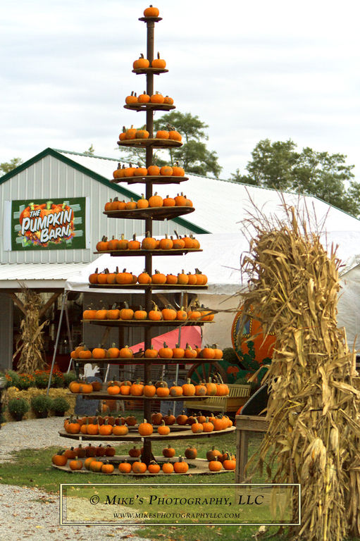 The Pumpkin Barn