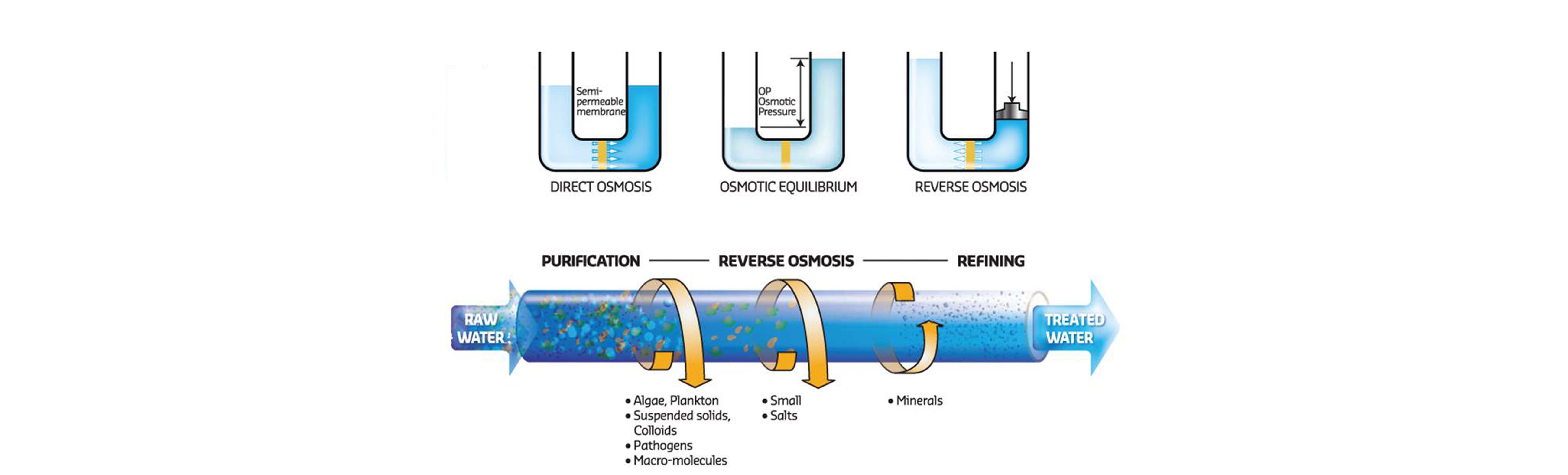 action Groundwater Remediation